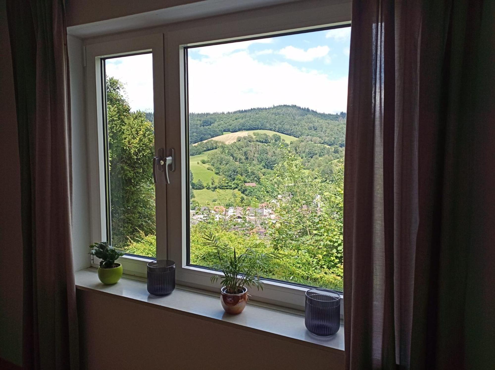 Das Tor Zum Odenwald Gorxheimertal Exterior photo